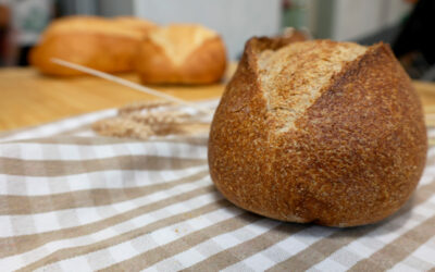 Lorem Ipsum